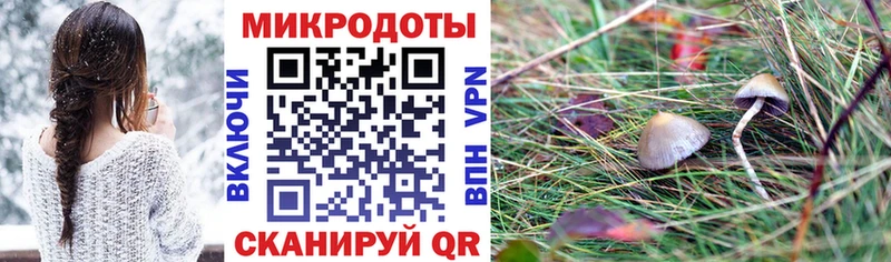 Галлюциногенные грибы Cubensis  Фёдоровский 